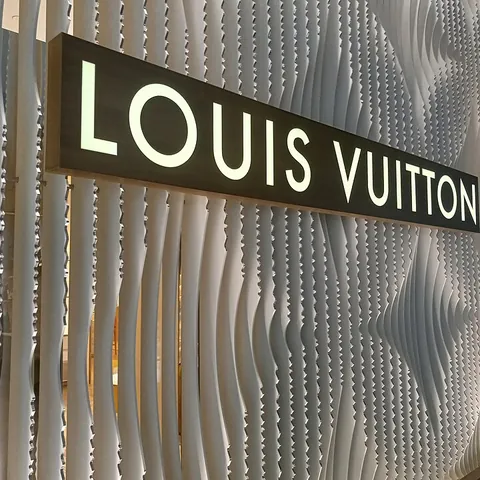Louis Vuitton Bag